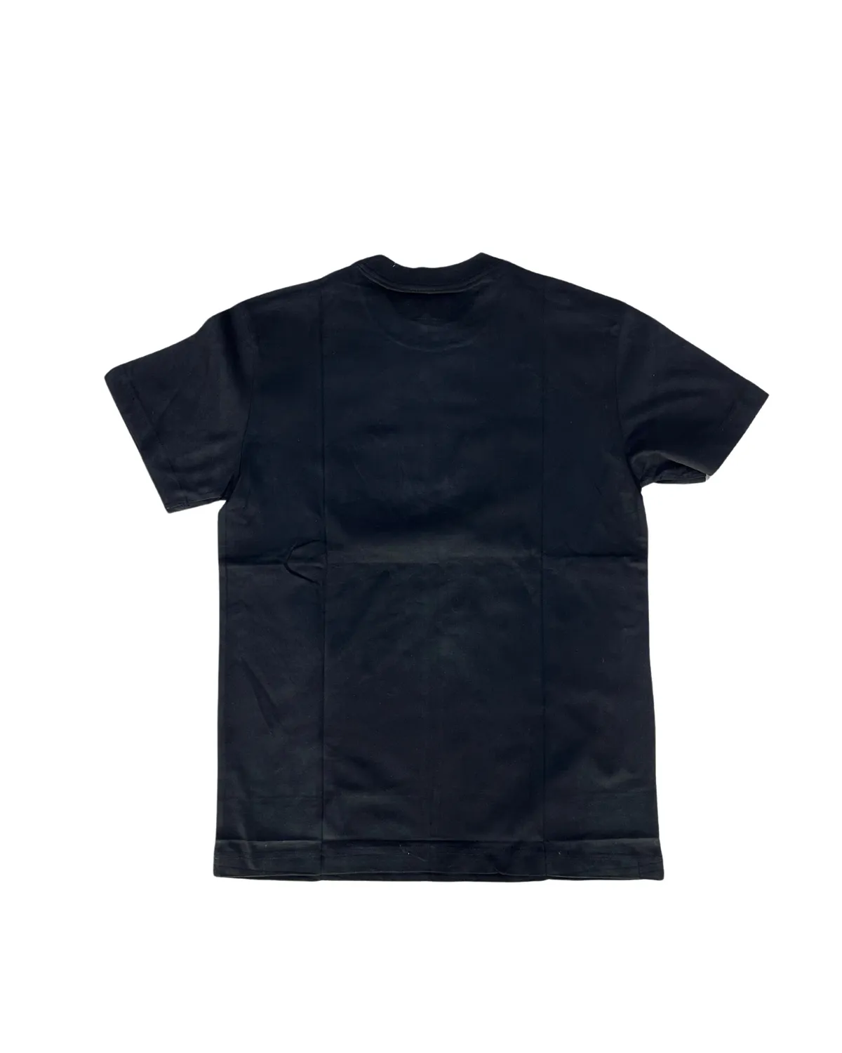 GOODSPEED — vista 2